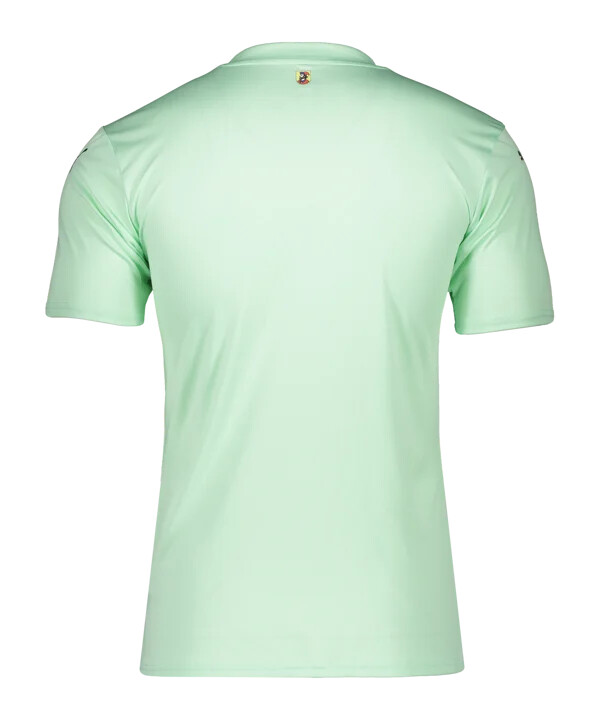 puma 1. fc heidenheim tw-trikot 20242025 kids grün f60