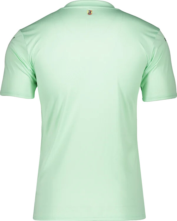 puma 1. fc heidenheim tw-trikot 20242025 kids grün f60