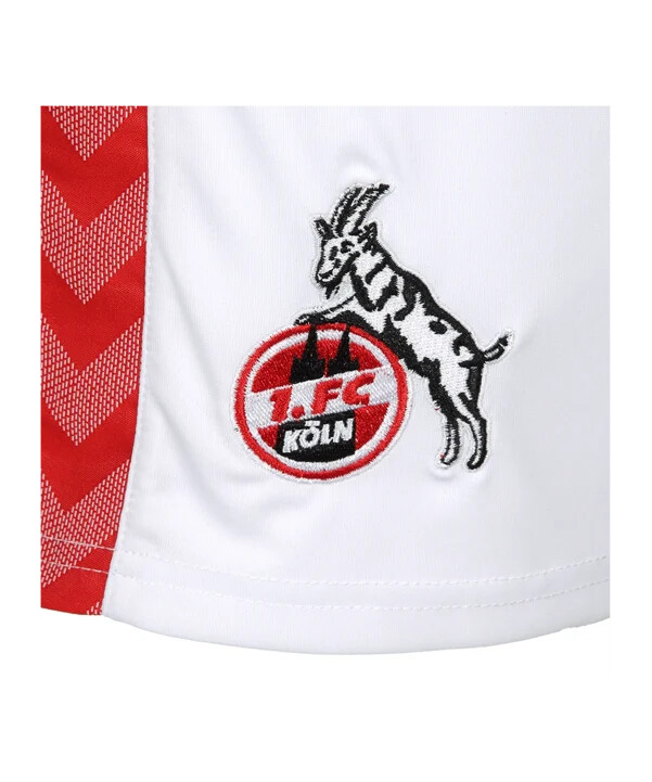 hummel 1. fc köln short home 20232024 weiss f9402
