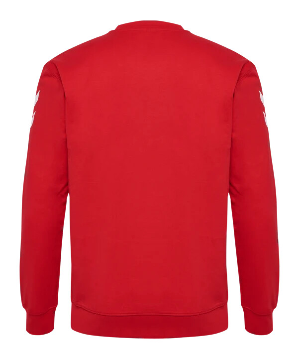 hummel 1. fc köln travel sweatshirt 20242025 kids rot f3062