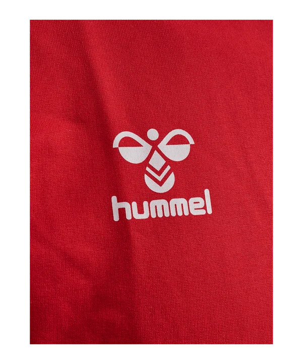 hummel 1. fc köln travel sweatshirt 20242025 kids rot f3062