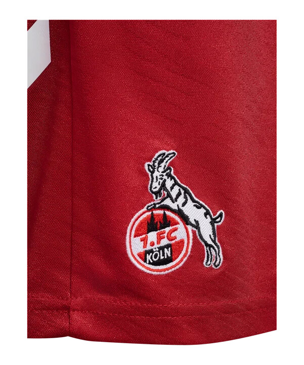 hummel 1. fc köln short away 20252026 rot f3062