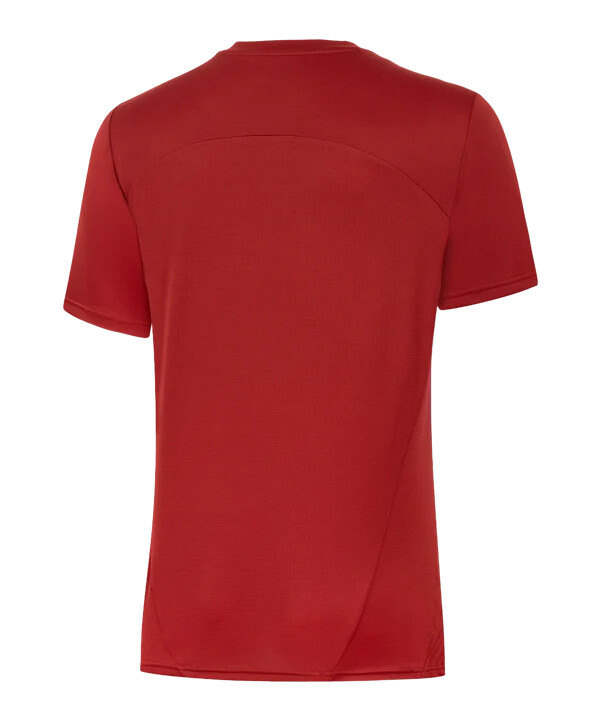 puma galatasaray istanbul trainingsshirt rot f01