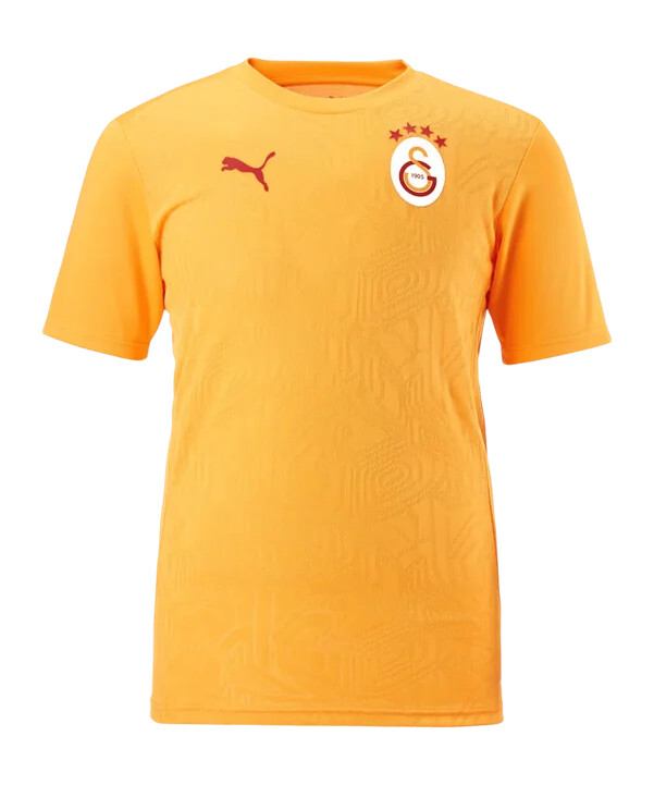 puma galatasaray istanbul training t-shirt gelb f202