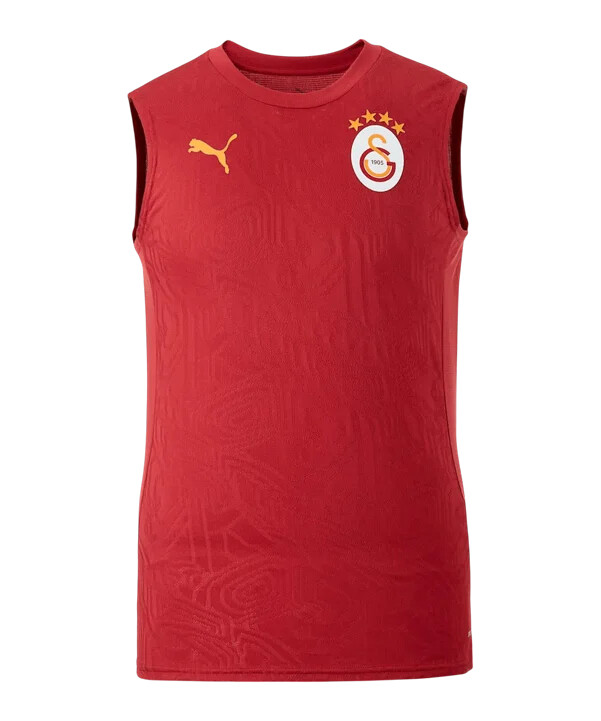 puma galatasaray istanbul training sl t-shirt rot f202
