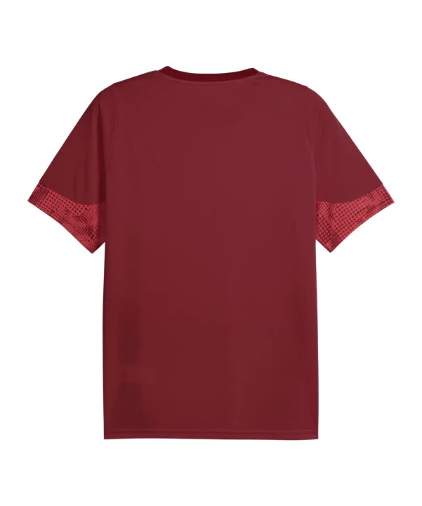 puma galatasaray istanbul trainingsshirt rot f003