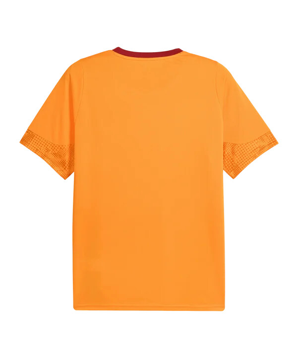 puma galatasaray istanbul trainingsshirt orange f006