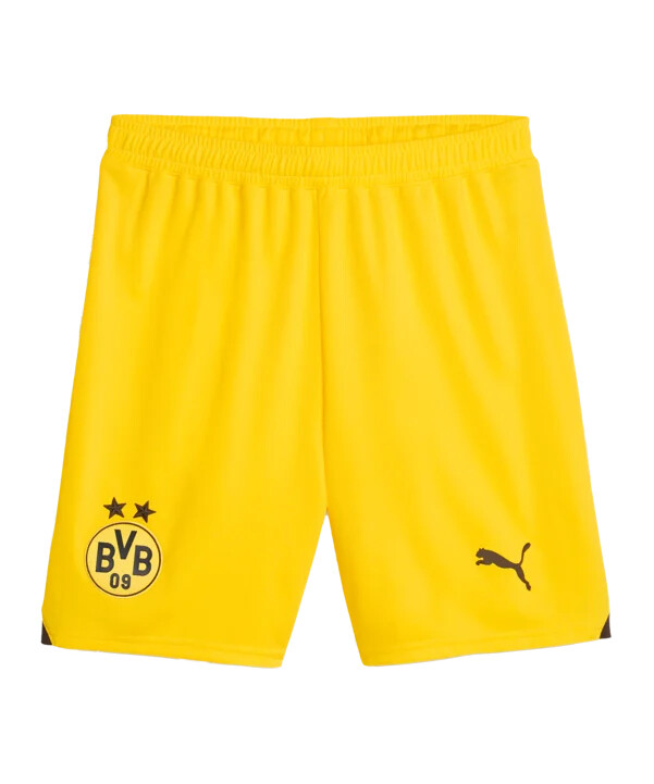 puma bvb dortmund short 20232024 gelb f01