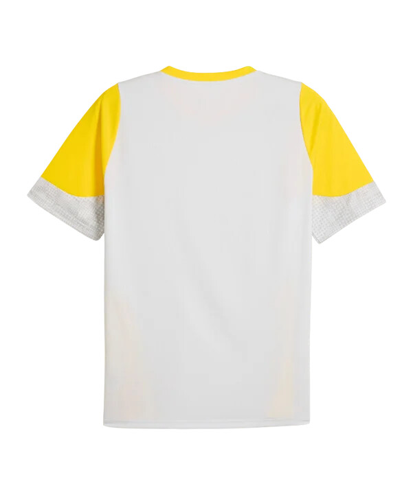 puma borussia dortmund trainingsshirt grau f18