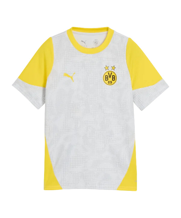 puma borussia dortmund trainingsshirt kids grau f18