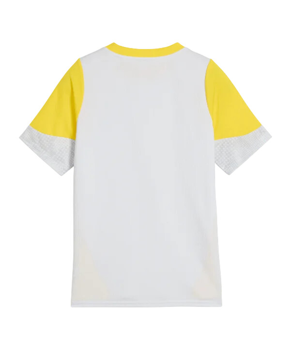 puma borussia dortmund trainingsshirt kids grau f18
