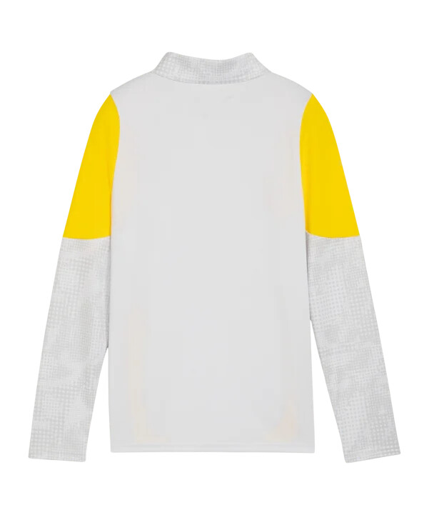 puma borussia dortmund training 14 zip sweatshirt kids grau f18