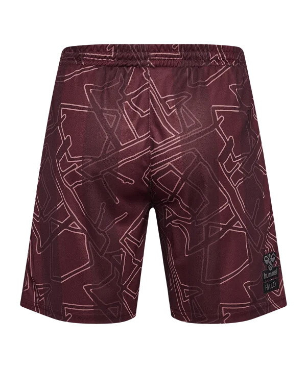 hummel dänemark x halo short 2024 blau f8186