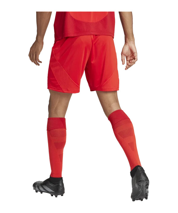adidas fc bayern münchen short home 20242025 rot