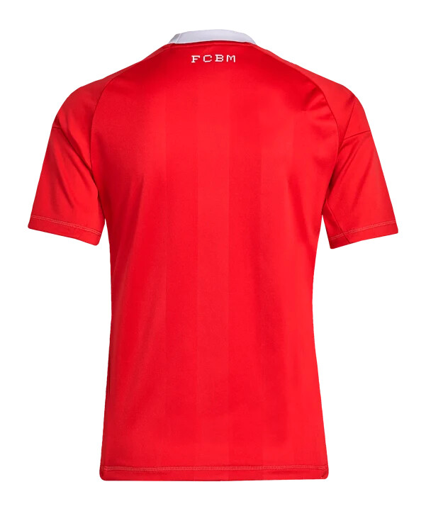 adidas fc bayern münchen torwarttrikot 3rd 20252026 kids rot