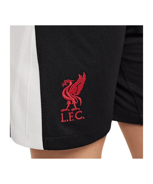 nike fc liverpool short 3rd 20242025 kids schwarz f010