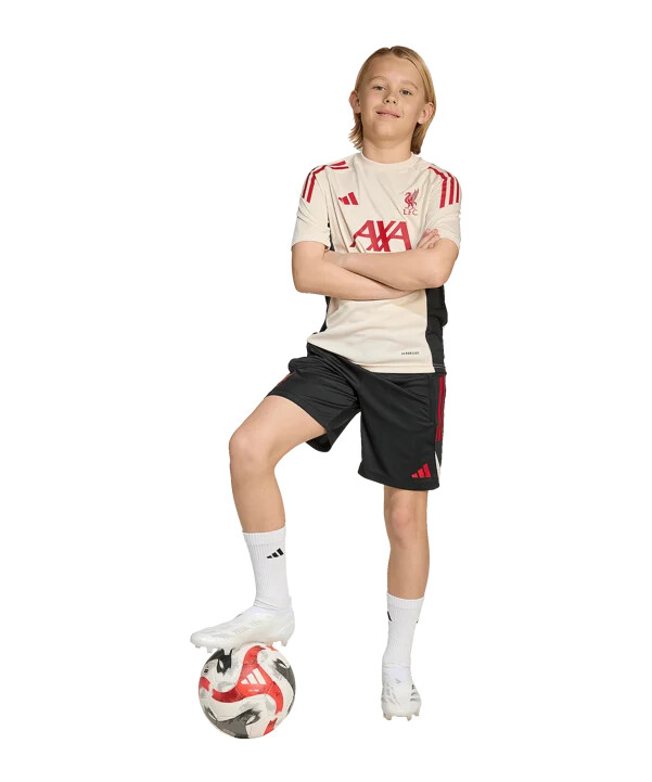 adidas fc liverpool competition training short kids schwarz