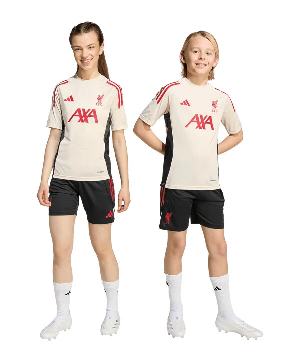 adidas fc liverpool competition training short kids schwarz