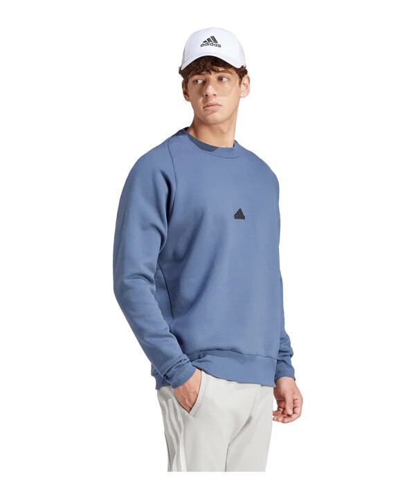 adidas fc schalke 04 z.n.e. sweatshirt graublau