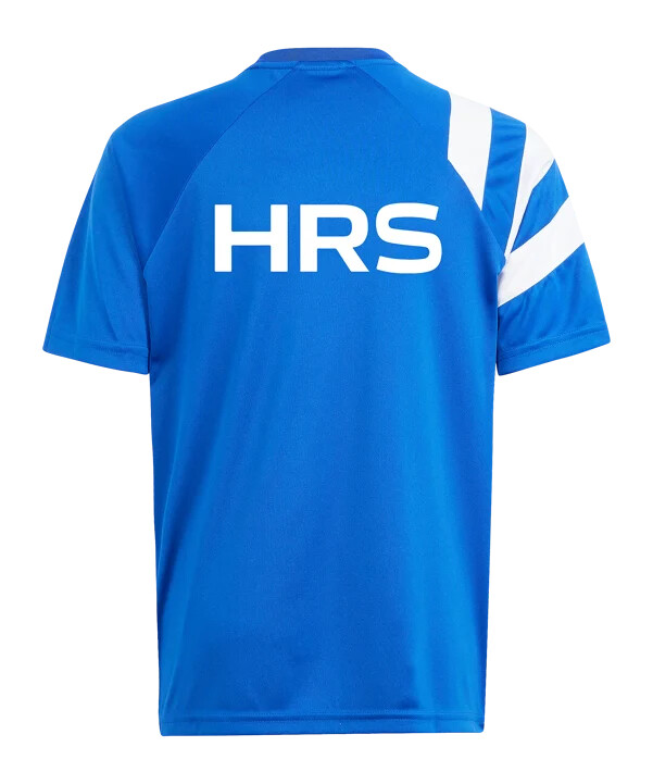 adidas fc schalke 04 prematch shirt 20242025 kids blau