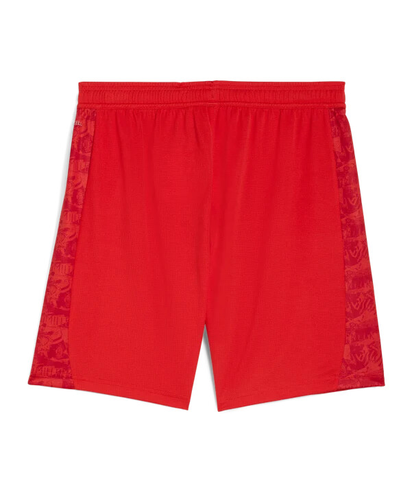 puma fc st. pauli replica short rot f04