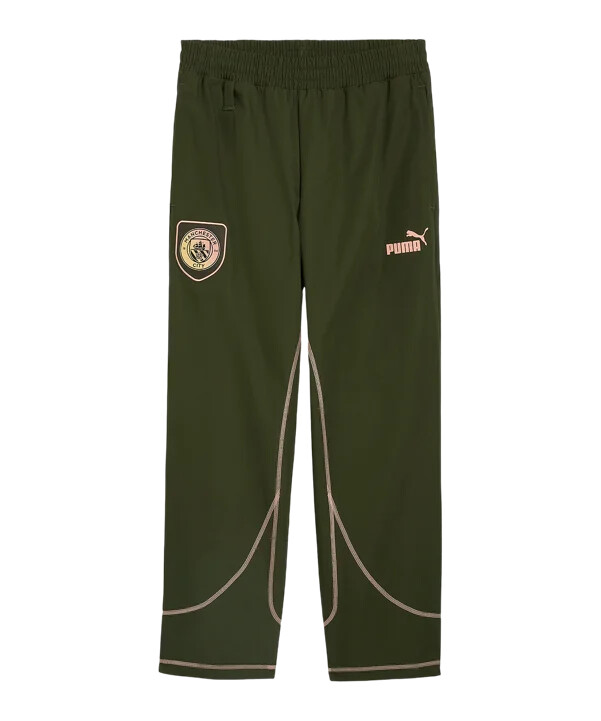 puma manchester city ftblstatement trainingshose grün f29