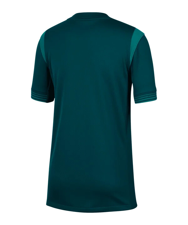 nike nigeria trikot home 20252026 kids blau f483
