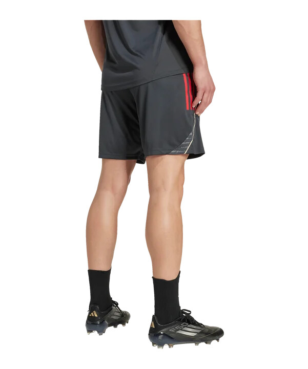 adidas olympique lyon training short grau