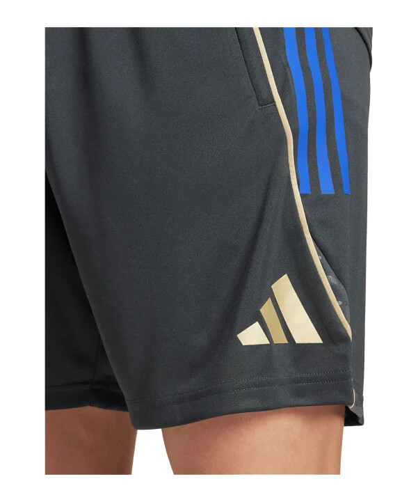 adidas olympique lyon training short grau