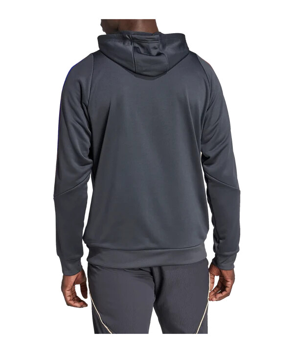 adidas olympique lyon training hoody grau