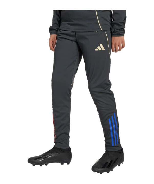 adidas olympique lyon trainingshose kids grau