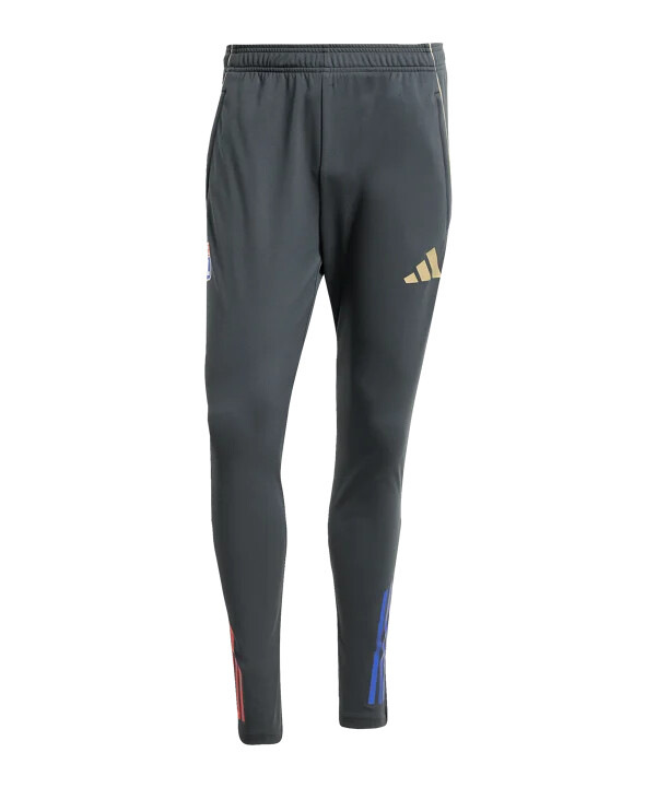 adidas olympique lyon trainingshose grau