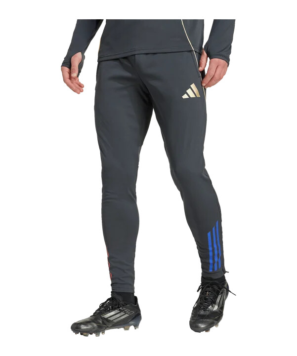 adidas olympique lyon trainingshose grau