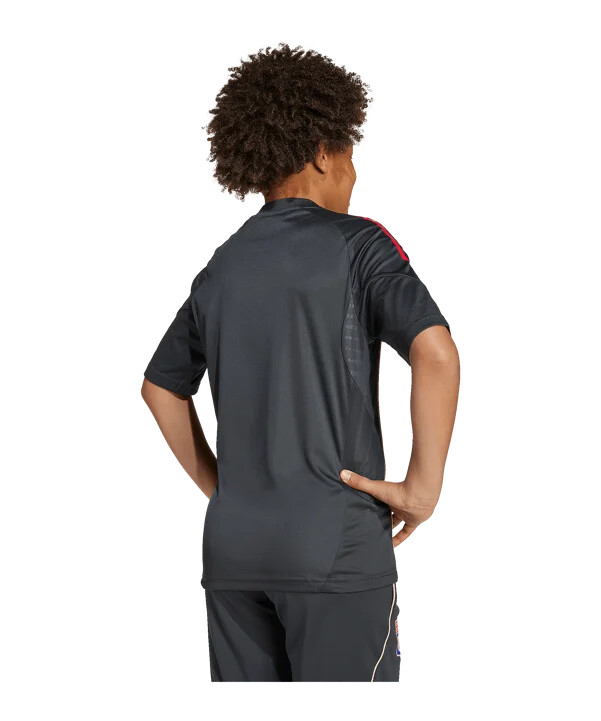 adidas olympique lyon trainingsshirt kids grau