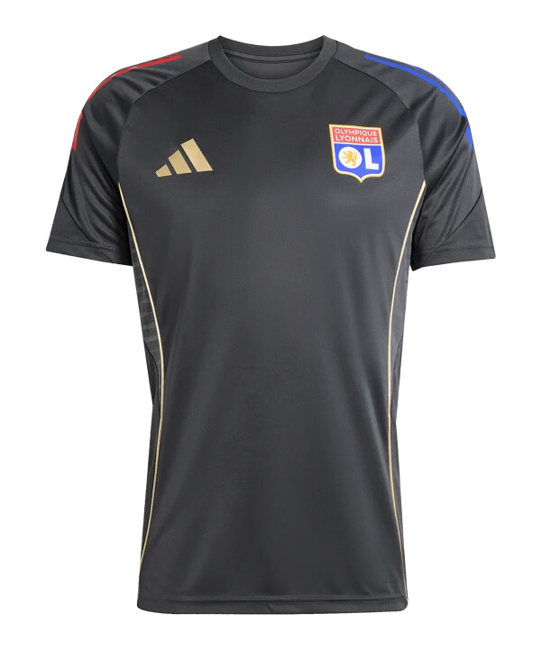 adidas olympique lyon trainingsshirt grau