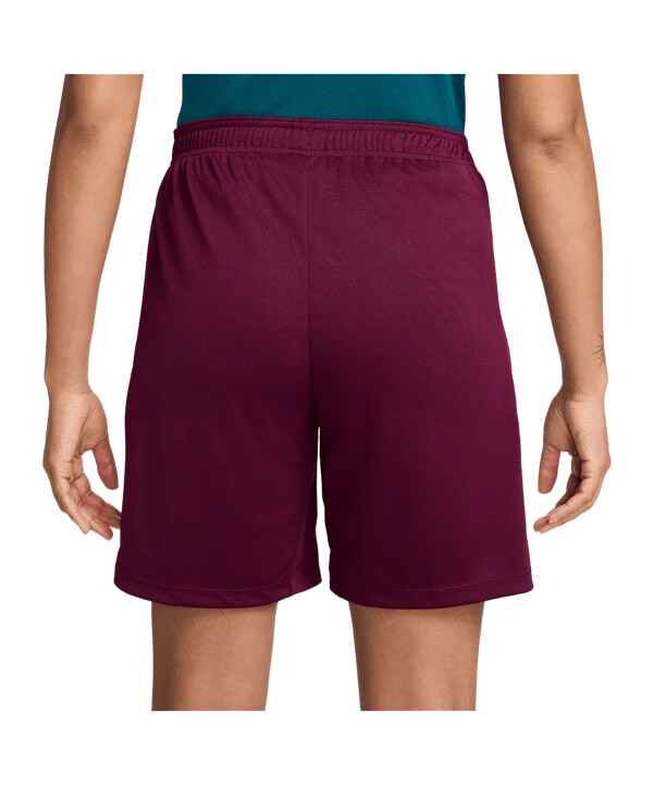 nike paris st. germain trainingsshort rot f610