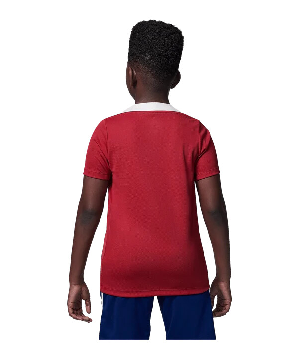 nike paris saint-germain trainingsshirt kids rot f660