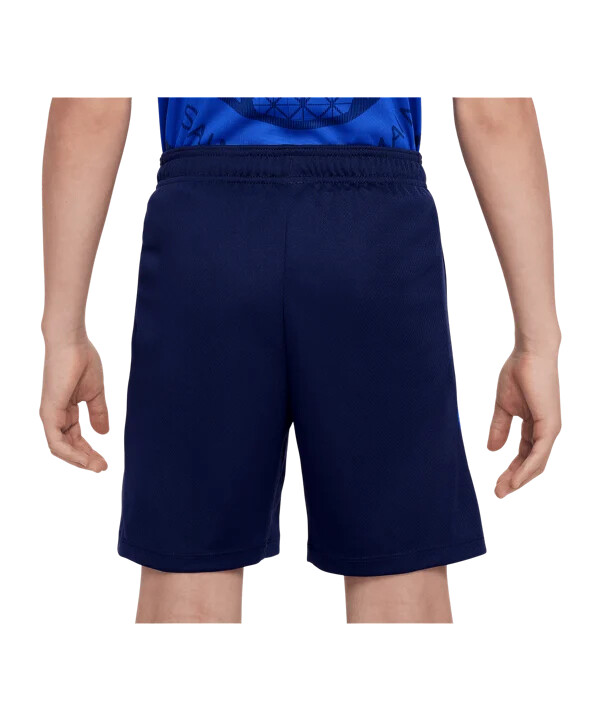 nike paris saint-germain strike short kids blau f410