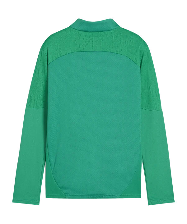 puma sk rapid wien sweatshirt kids grün f05