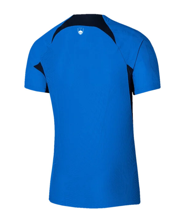 nike slowenien auth. trikot away em 2024 blau f463