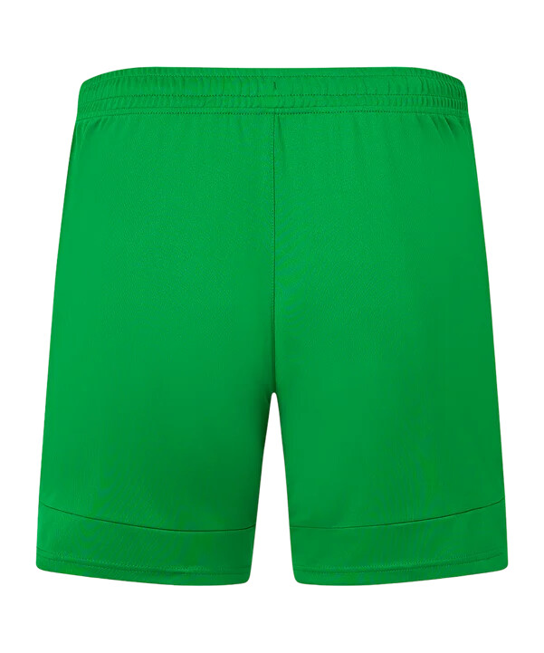 castore irland short away 2024 grün f100