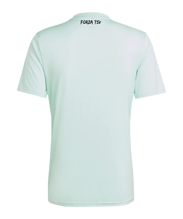 adidas tsv hartberg trikot away 20242025 türkis